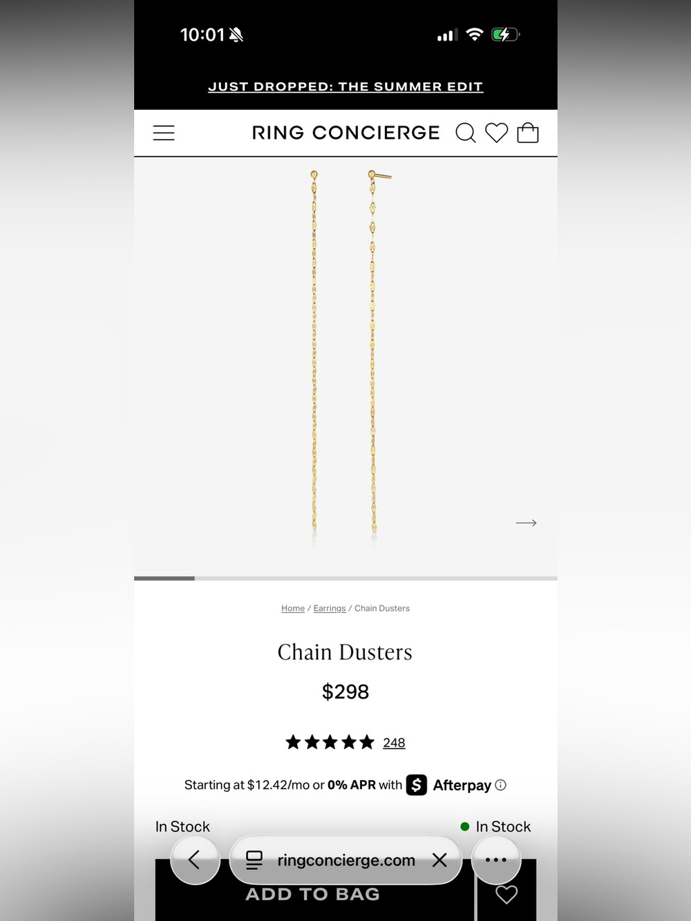 Ring Concierge Gold Chain Duster Earrings